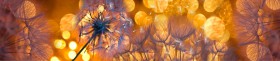 Кухонный фартук Мерцание Одуванчики золотистые 3 серебро в Воскресенске - voskresensk.katalogmebeli.com | фото